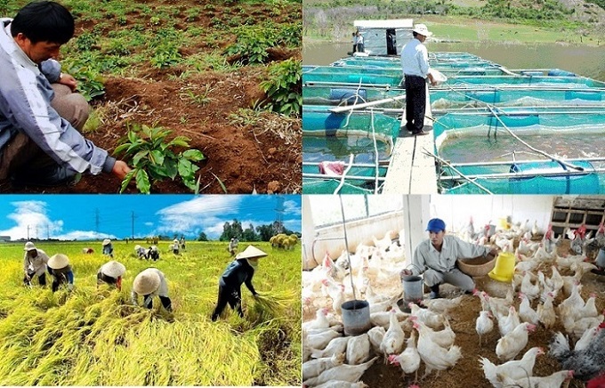 Thực trạng nông nghiệp Việt Nam hiện nay