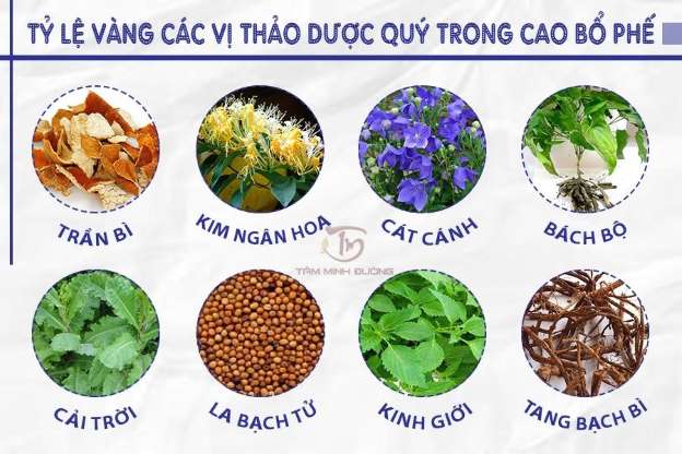 Cao-Bo-Phe-Tam-Minh-Duong