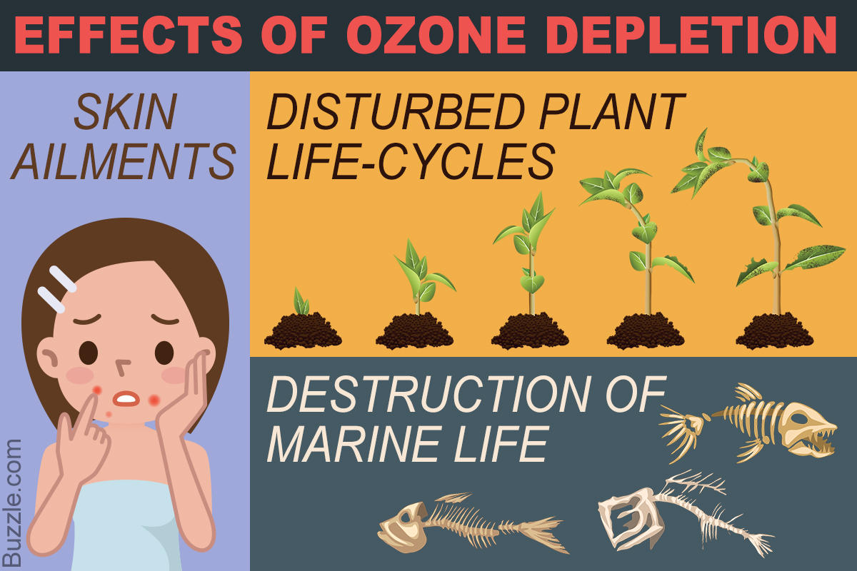 Tác hại của thủng tầng ozon