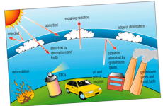nguyên nhân thủng tầng ozon
