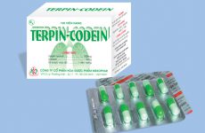Thuốc Terpin codein