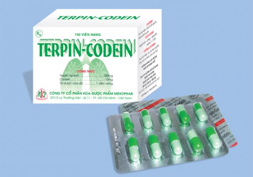 Thuốc Terpin codein