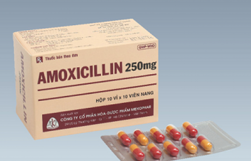 Thuốc amoxicillin 500mg
